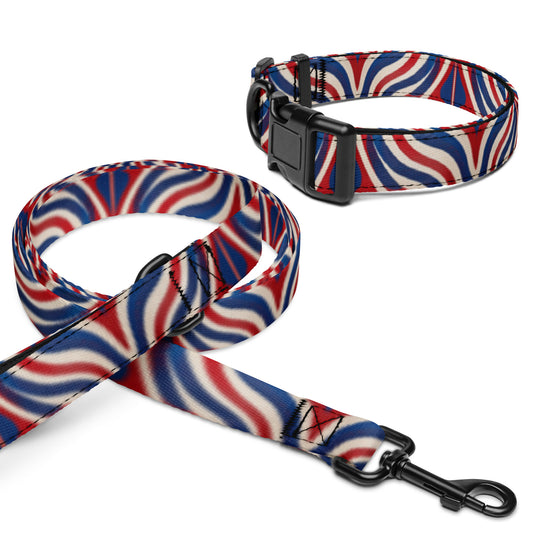 Patriotic Pet collar & leash